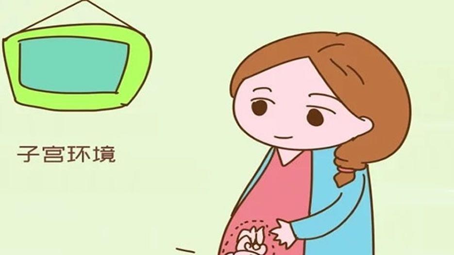 女方子宫环境良好