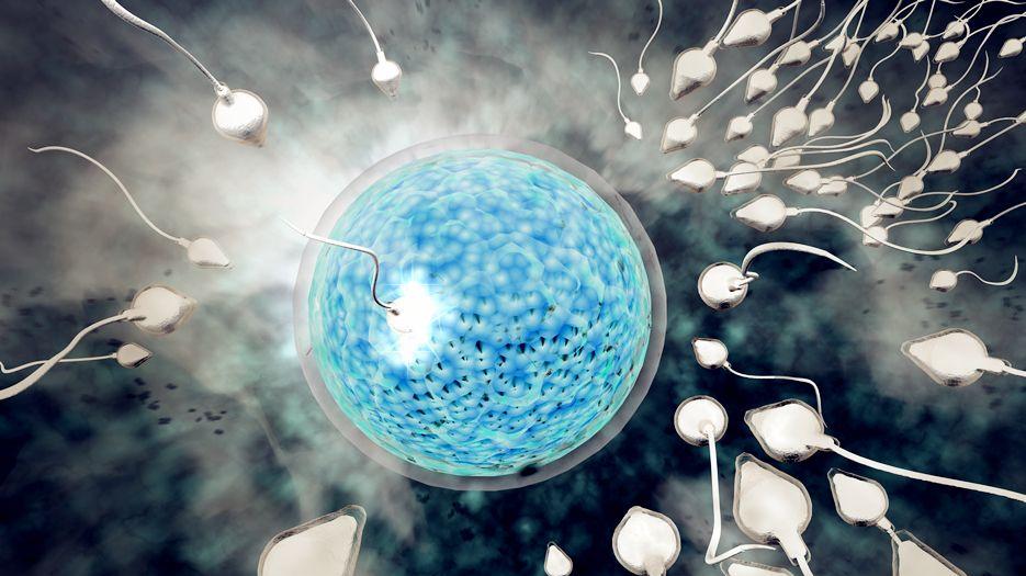 男性精子畸形会影响生育吗？专家解读精子畸形率多高影响生育 (6).jpg