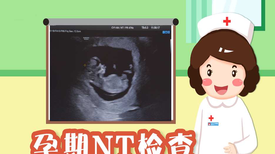 试管婴儿移植65天可以做nt吗