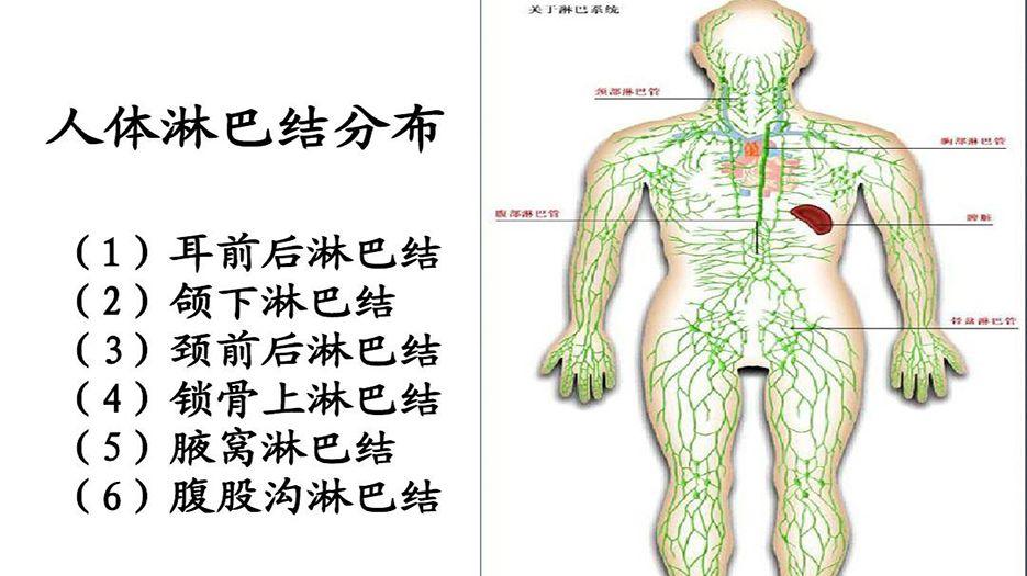 淋巴排毒 (2).jpg