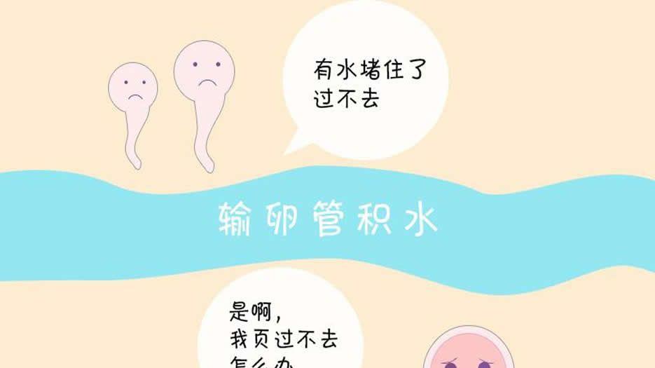 女性输卵管积水可以做试管婴儿吗