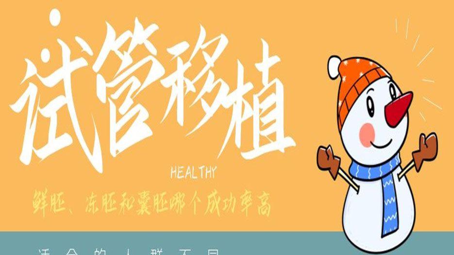 鲜胚、冻胚和囊胚哪个成功率高