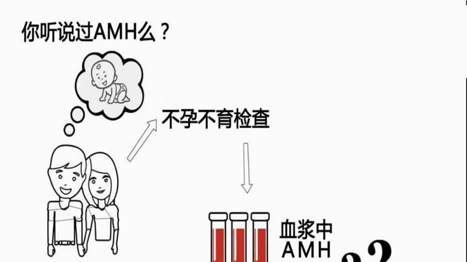 抗苗勒氏管激素（AMH）