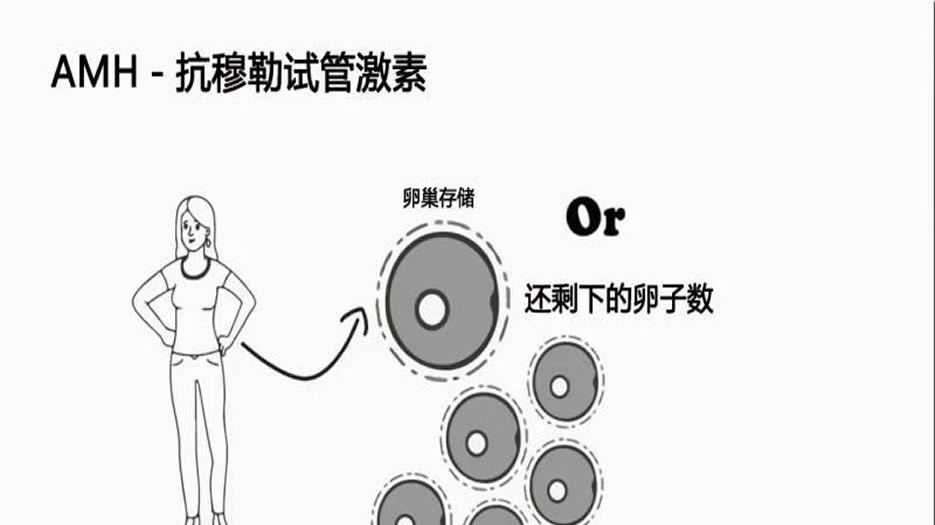 卵巢储备功能