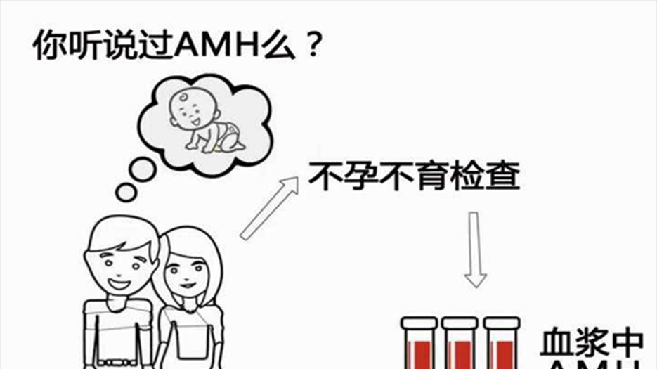 AMH值0.19试管婴儿的成功率有多少