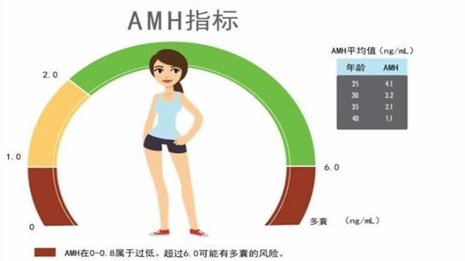 AMH值与女性取卵数量的对应关系