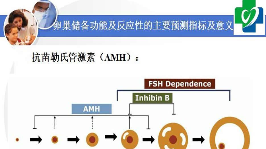 <a style='color:#2f2f2f;cursor:pointer;' href='https://www.yi-yun-tong.com/article-2589.html'>AMH</a>值多少为卵巢早衰还可以做试管吗