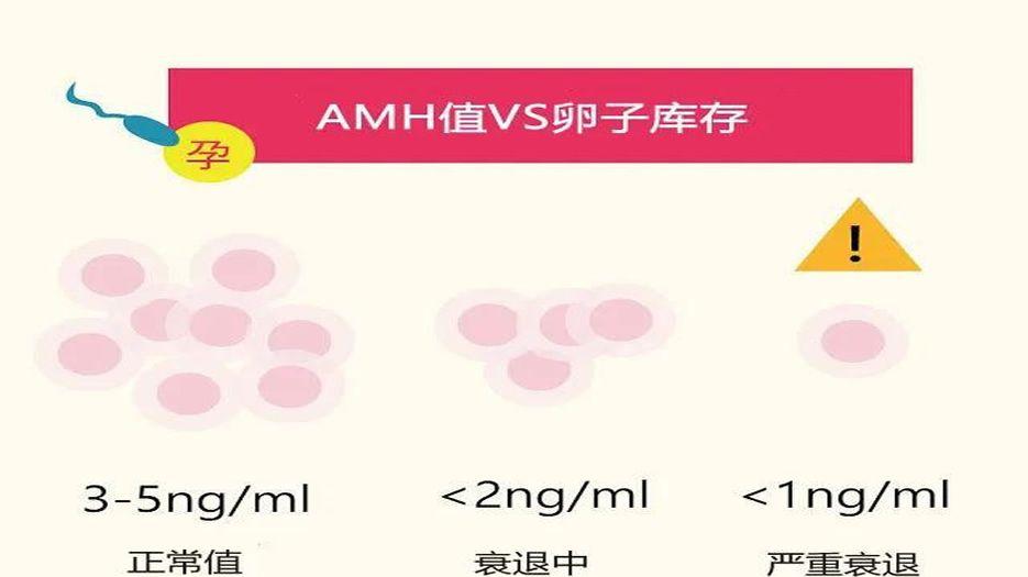AMH仅代表卵子库存并非质量