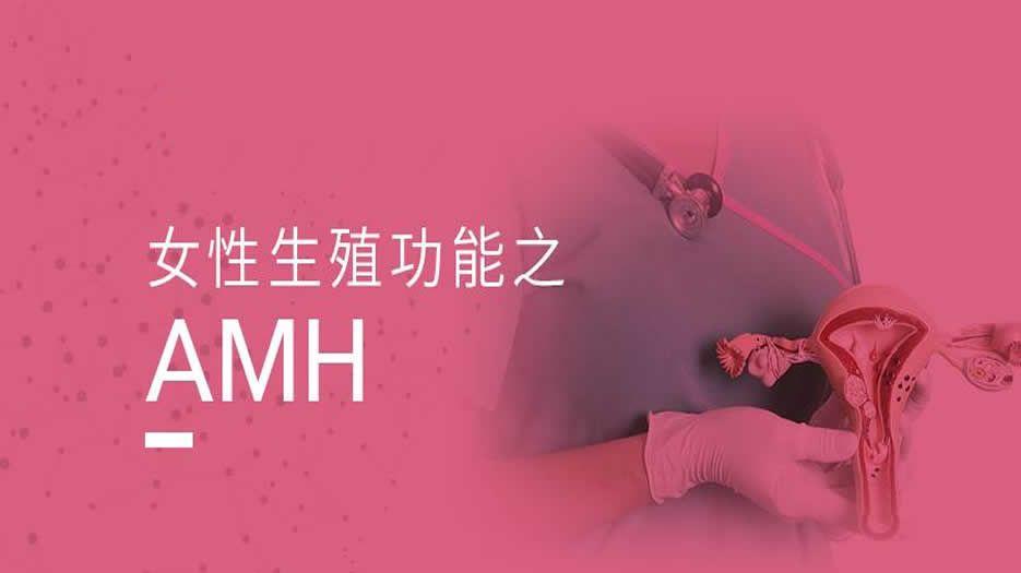 女性AMH各年龄段正常范围值