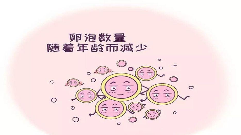 AMH图片(10).jpg