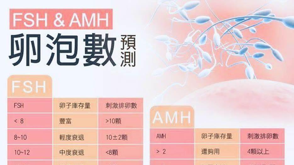 AMH值对照表