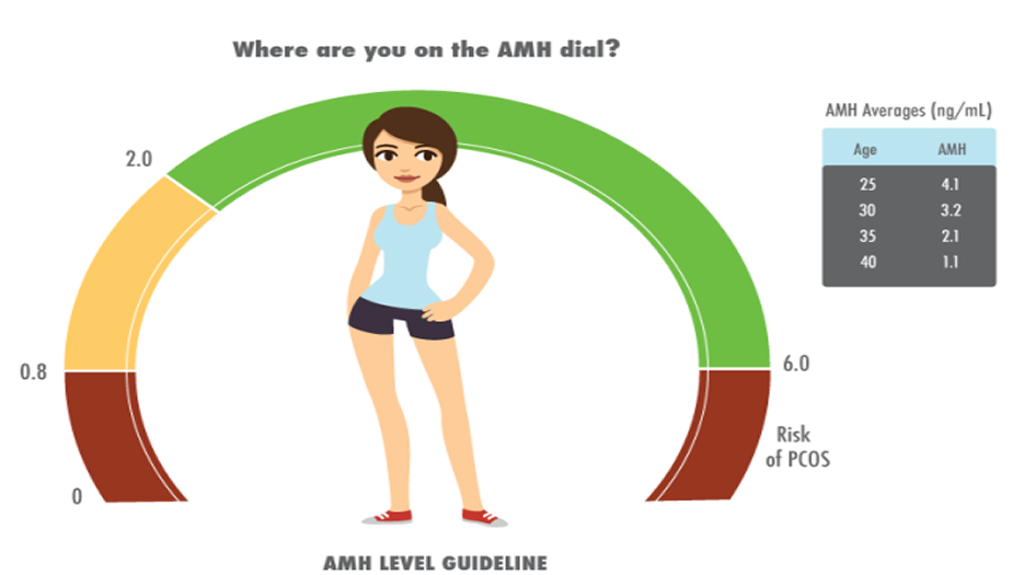 ANH值低于多少不能做试管婴儿