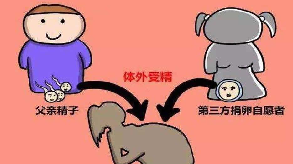 试管婴儿