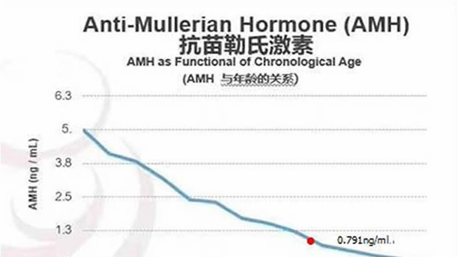 amh和年龄关系