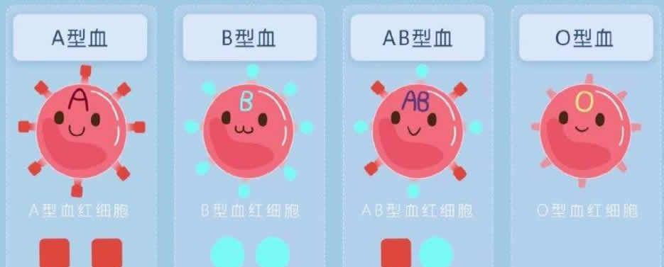 溶血示意图