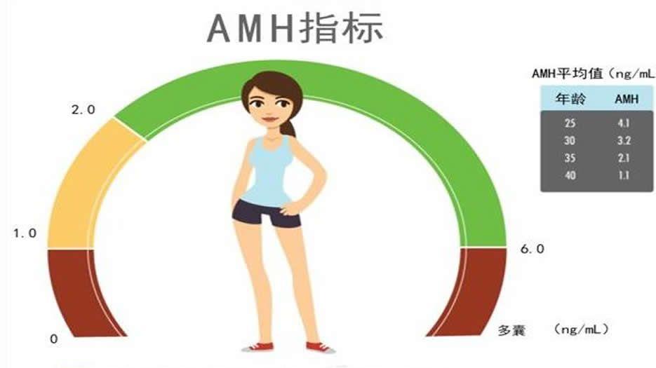 amh值