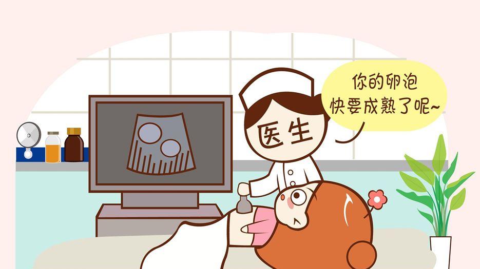 适时促排实时监测