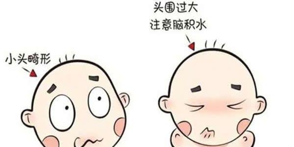 孕周双顶径标准参照表-快来看看你的宝宝发育情况吧