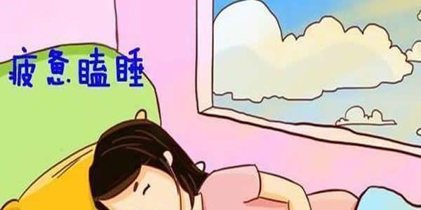 嗜睡易疲惫