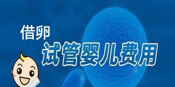 50岁怀孕做试管婴儿的费用明细介绍