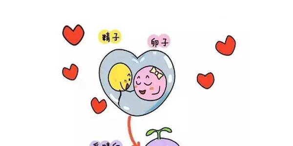 试管婴儿怀孕两个月胎停的7个原因介绍