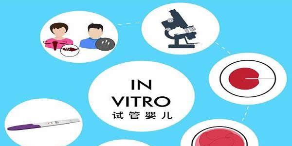8个关键词带你全面认识试管婴儿技术