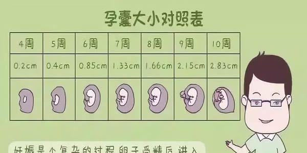 1孕周和孕囊大小对照表一览