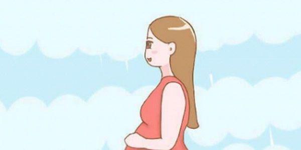 罗氏易位做三代试管婴儿的成功率高吗