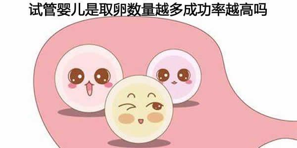 试管婴儿是取卵数量越多成功率越高吗