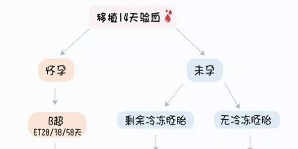 试管婴儿治疗过程中最常见的5大失败环节盘点