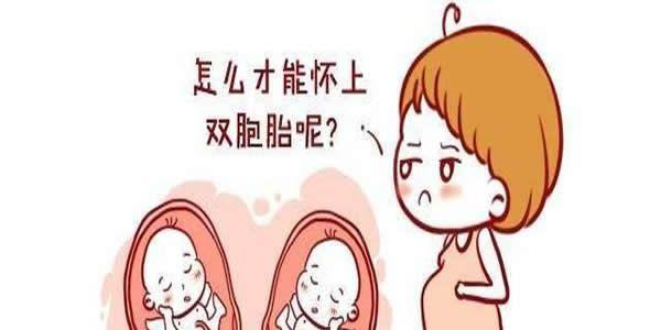 想生双胞胎就可以做试管婴儿吗