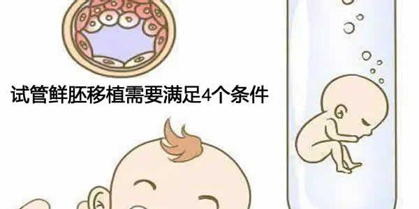 试管鲜胚移植需要满足4个条件
