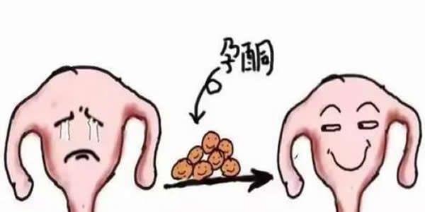孕酮升高