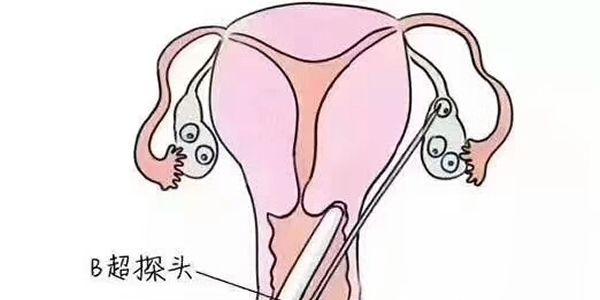 试管婴儿过程痛苦吗-心态决定一切
