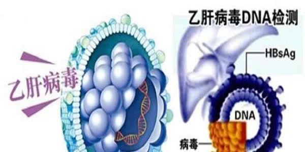 乙肝患者能做试管婴儿吗