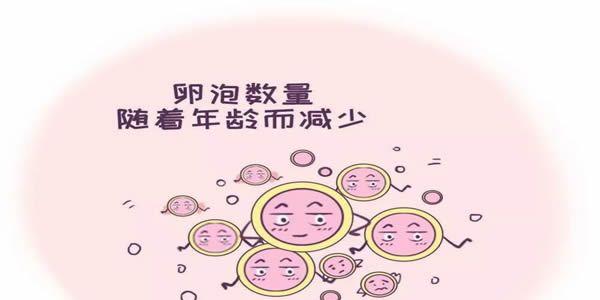 高龄女性做试管婴儿卵泡少该怎么办