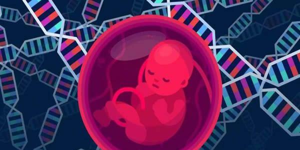试管婴儿怀孕一定要做无创DNA吗-答案是肯定的