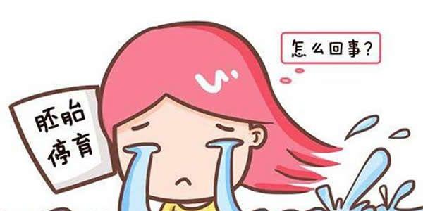 试管婴儿胚胎停育的常见因素