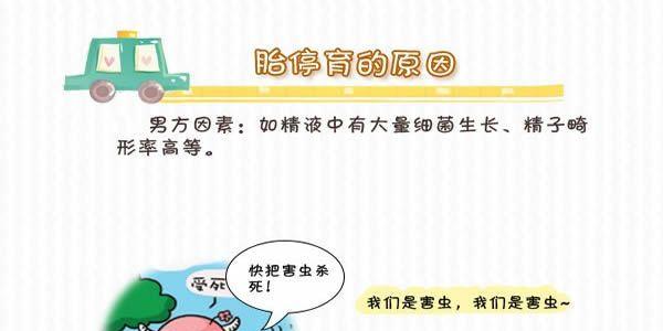 男方因素