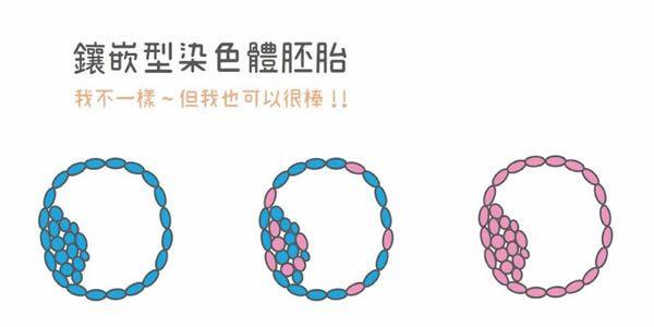 三代试管嵌合体胚胎能否进行移植