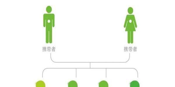染色体平衡易位做三代试管婴儿成功率高吗