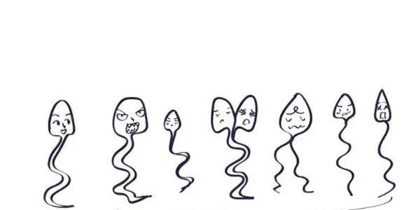 精子正常形态率低可以做试管婴儿吗