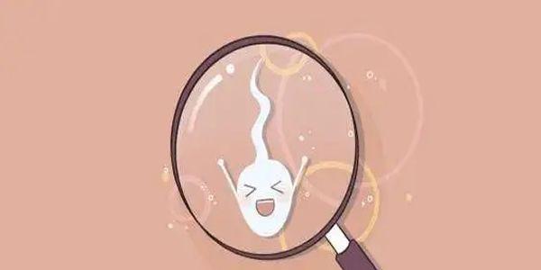 精子正常形态率低可以做试管婴儿吗