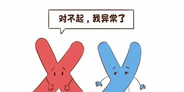 染色体异常做试管婴儿的成功率高吗