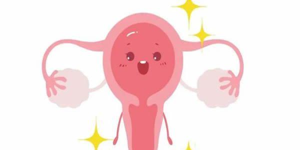 幼稚子宫做试管婴儿的成功率高吗