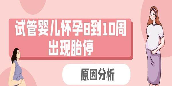 试管婴儿怀孕8到10周出现胎停的原因分析