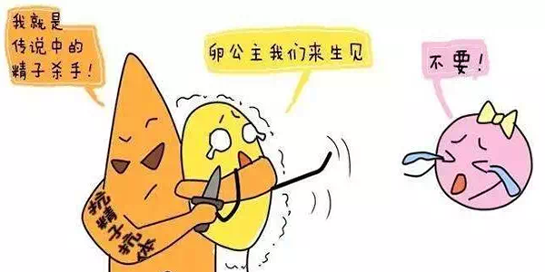 女性抗精子抗体阳性做试管婴儿能成功吗