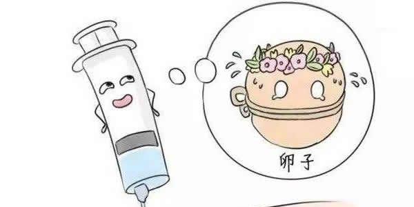 女性排卵障碍做试管婴儿定什么方案好
