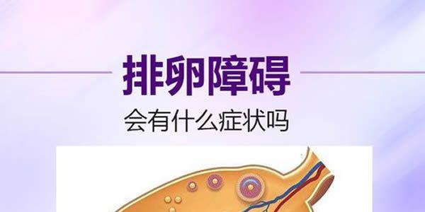 排卵障碍做试管婴儿成功的几率大吗