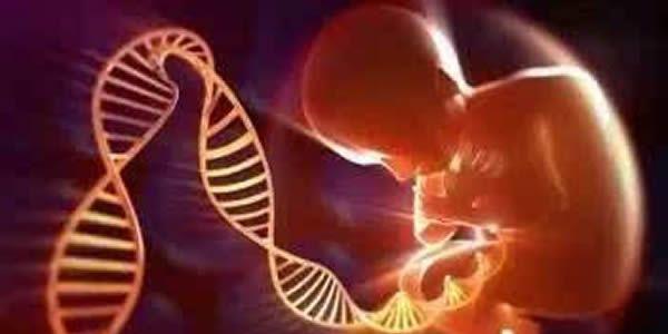 试管婴儿应该如何选择优质胚胎进行移植-目前有两种方法